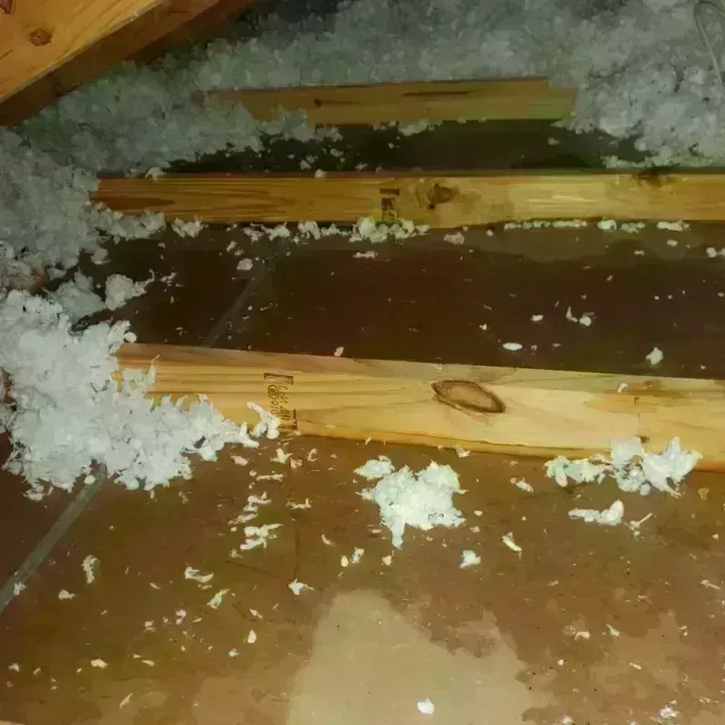 Attic Water Damage in Sunny Isles Beach, FL